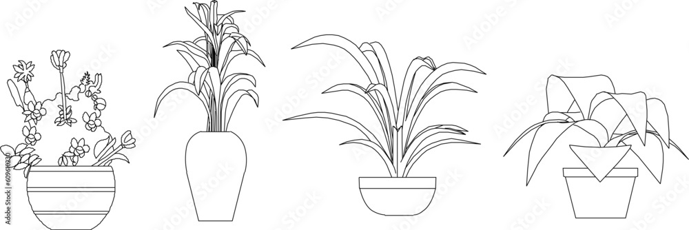 Naklejka premium Vector sketch illustration of ornamental tree plants in pots to decorate the room