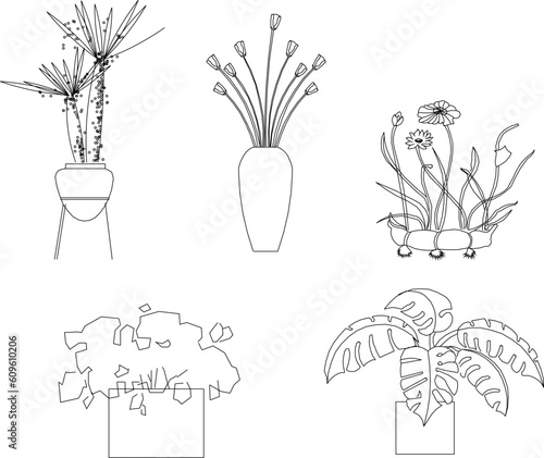 Vector sketch illustration of ornamental tree plants in pots to decorate the room