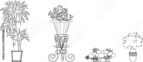 Vector sketch illustration of ornamental tree plants in pots to decorate the room