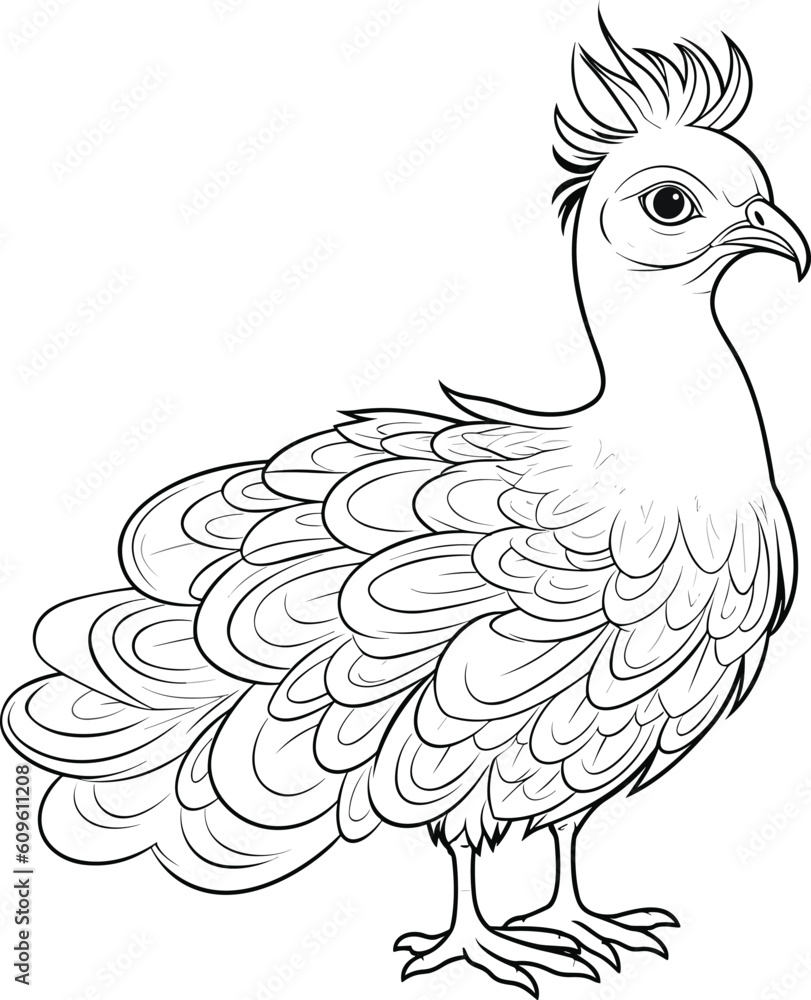 Peacock, colouring book for kids, vector illustration