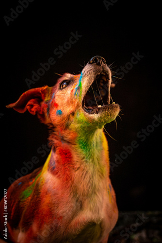 Fototapeta Naklejka Na Ścianę i Meble -  Dogs in Colorful Frenzy: Holy Festival Style