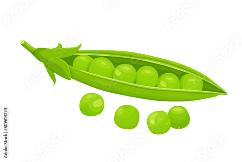 Green peas isolated on white background. Vector eps 10