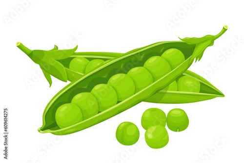 Green peas isolated on white background. Vector eps 10