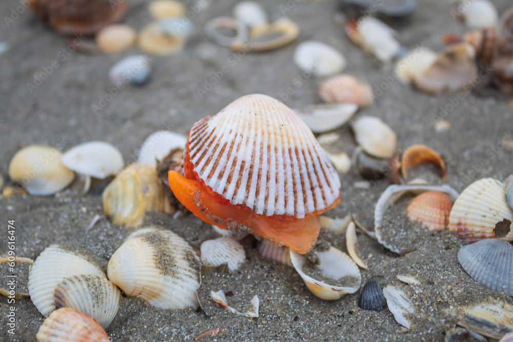 water, sea, nature, beach, ocean, landscape, ice, sky, sunset, stone, coast, rock, stones, sand, wave, winter, river, cold, lake, summer, rocks, abstract, travel water, sea, nature, beach, ocean, landscape, ice, sky, sunset, stone, coast, rock, stones, sand, wave, winter, river, cold, lake, summer, rocks, abstract, travel