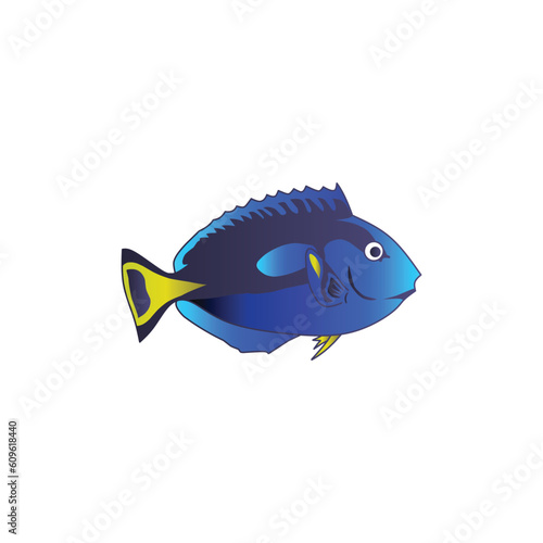 set of blue tang fish vector isolated on white background. animal, sea, seafood, fish,tang, blue, blue tang, surgeonfish, dory, coral reef fish, decorative fish, sticker, clipart, vector illustration.