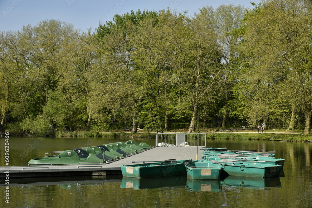 Ponton flottant et barques pour la promenade sur l'eau à l'étang principal du domaine provincial de Kessel-Lo à Louvain 