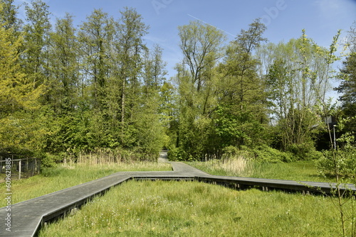 Chemin en planches contournant les marrais au domaine provincial de Kessel-Lo à Louvain 