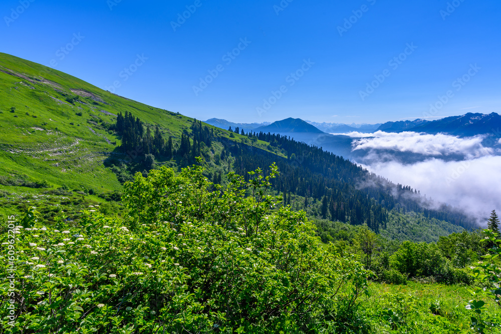 The beautiful landscape in the tropical mountains. The alpine mountains and meadows. The beautiful landscape in the tropical mountains. The alpine mountains and meadows.