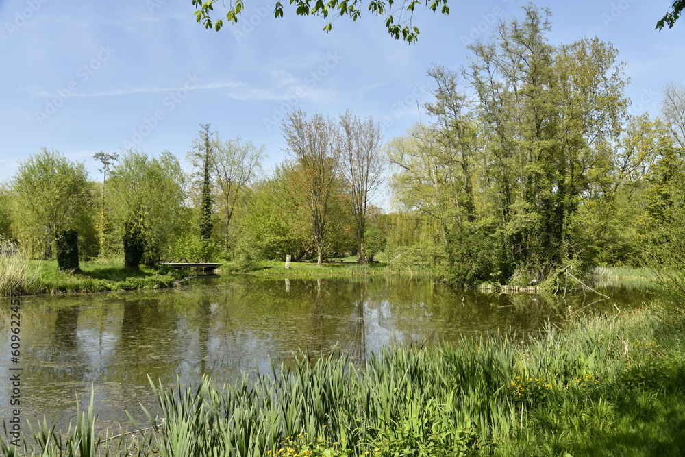 Le petit étang entouré par la végétation luxuriante au domaine provincial de Kessel-Lo à Louvain Le petit étang entouré par la végétation luxuriante au domaine provincial de Kessel-Lo à Louvain