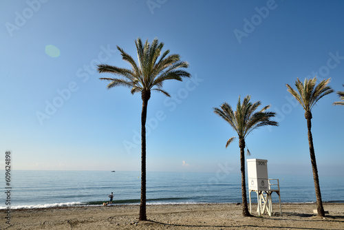 palmeras en una playa de Marbella con torre de vigilancia 