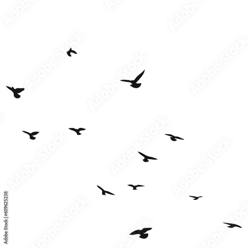 Silhouette sketch of a flock of flying birds, flight in different positions. Hover, soaring, landing, flying, flutter © Mar