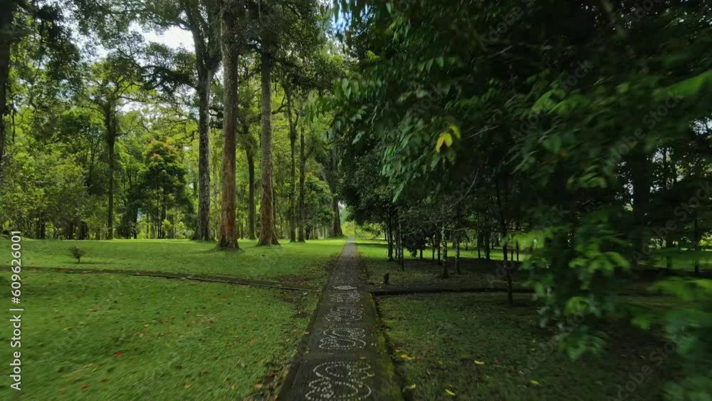 Path with tropical trees in botanical park in Bali Path with tropical trees in botanical park in Bali