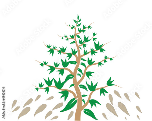 tree with roots. Tree design on white color background.