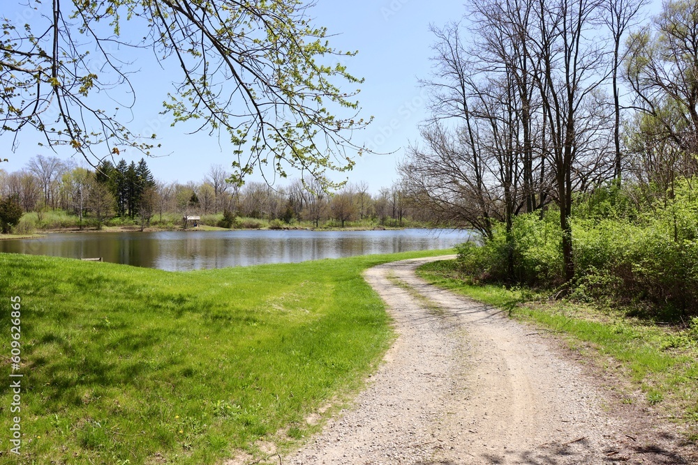 The empty country road on a sunny day. The empty country road on a sunny day.