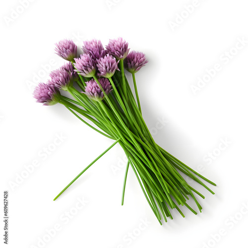 chives isolated on white background