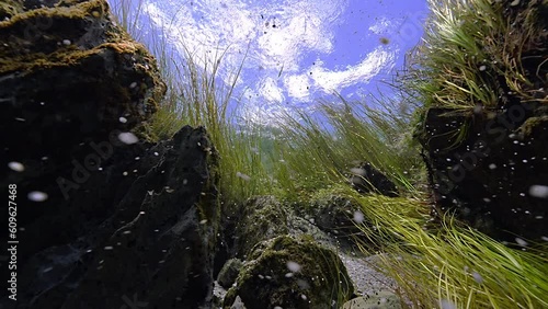 Underwater Source Of Freshwater Water Comes Out From Sandy Bottom Of