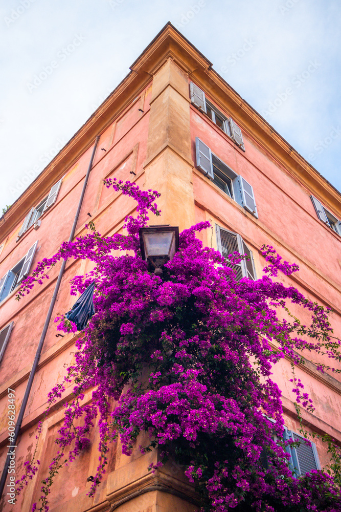 building with purple climbing flowers building with purple climbing flowers