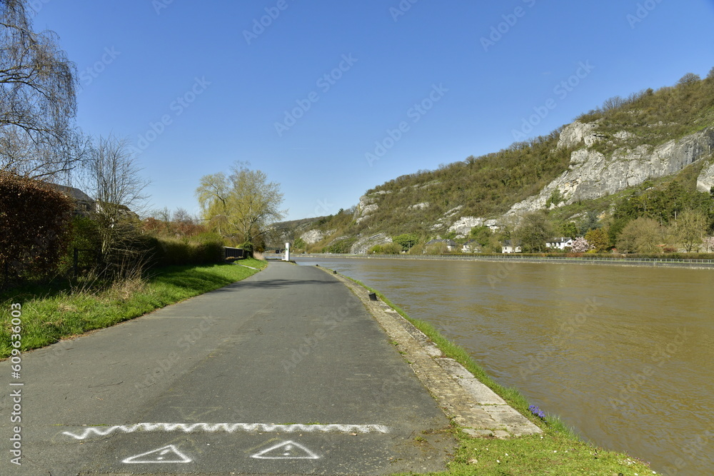 Fototapeta premium Colline rocheuse le lon g de la Meuse à Roux au nord de Dinant 