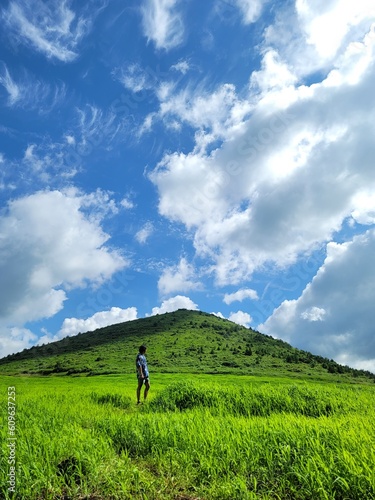Rice field with blue sky background, korea