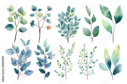 Set of beauty watercolor vector branches