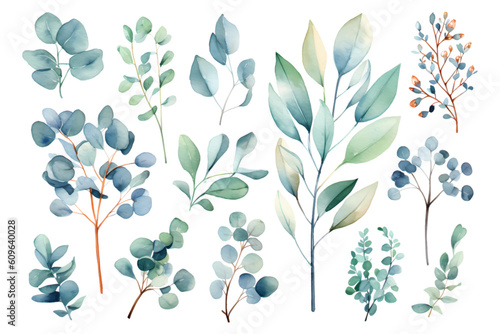 Fototapeta Naklejka Na Ścianę i Meble -  Set of watercolor vector branches of eucalyptus