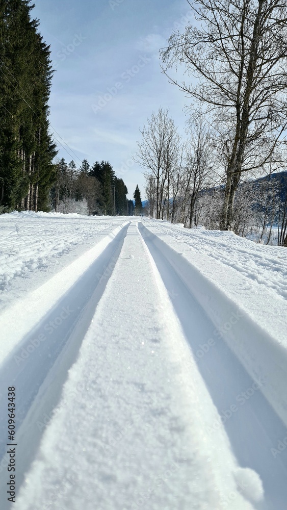 Obraz premium Unbenutzte Langlauf Loipe 
