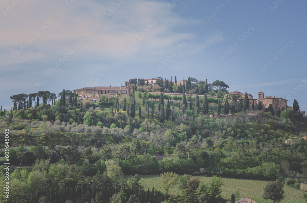 Montepulciano, scenic view to the vineyard