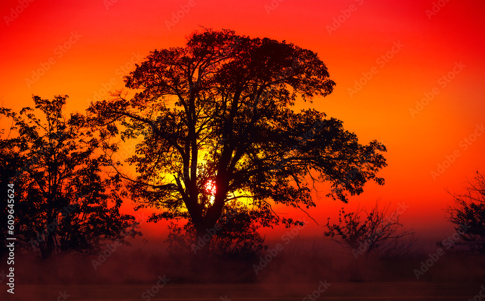 Mysterious dawn with red hues and misty atmosphere
