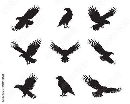 Silhouette eagle collection - vector illustration