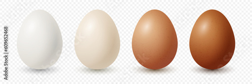 Vector 3d Realistic White, Brown Chicken Eggs. Textured Chicken Egg Icon Set Closeup Isolated. Vector Different Color Eggs Isolated. Whole Egg Collection in Front View