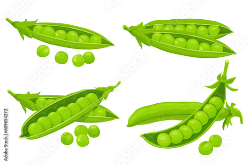 Green peas isolated on white background. Vector eps 10