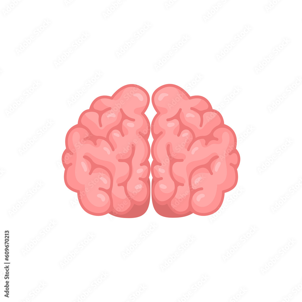 Human brain jagged. The concept of developing learning and creativity skills. Human brain jagged. The concept of developing learning and creativity skills.