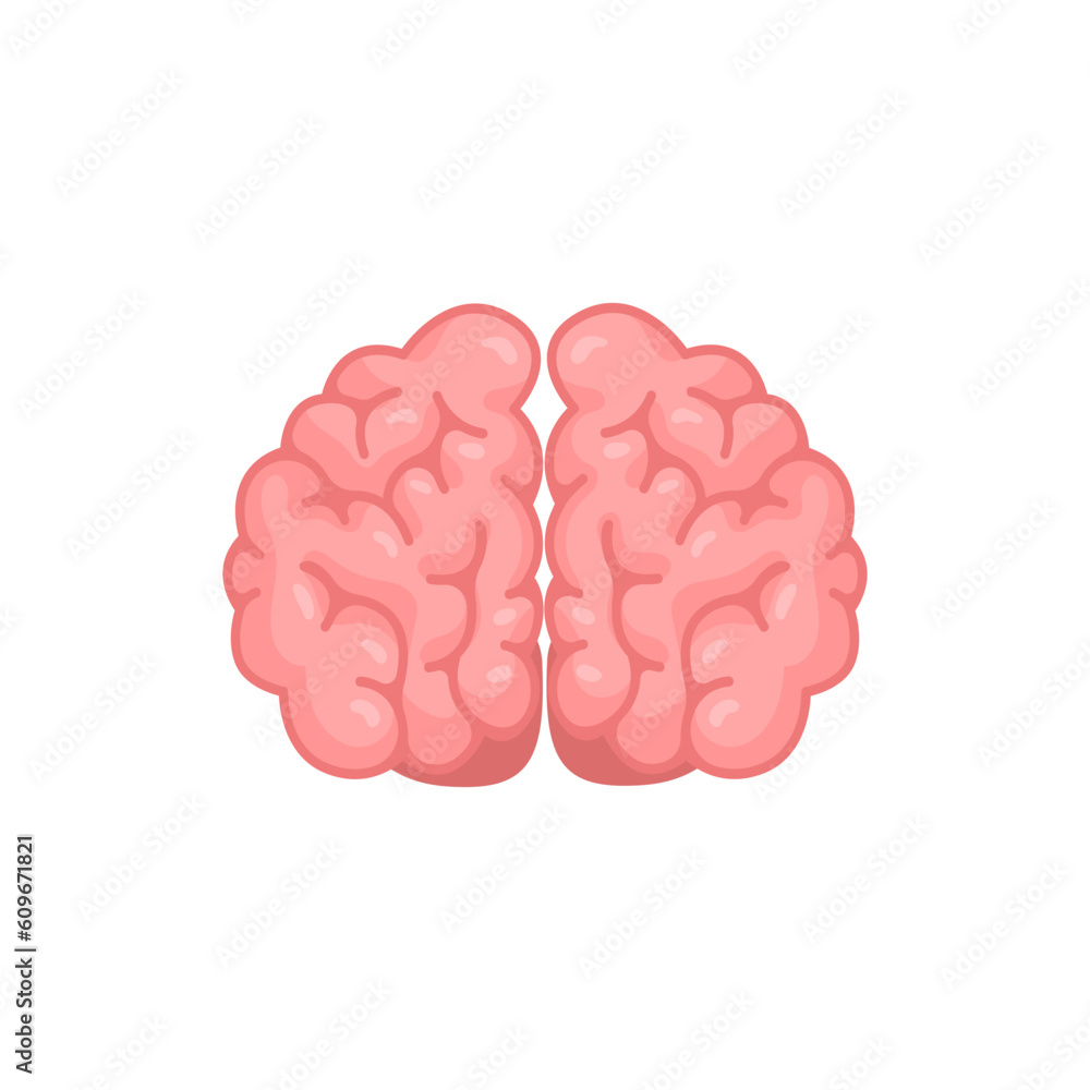 Human brain jagged. The concept of developing learning and creativity skills. Human brain jagged. The concept of developing learning and creativity skills.