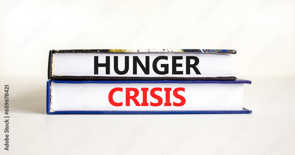 Hunger crisis symbol. Concept words Hunger crisis on beautiful books on a beautiful white table white background. Business, support and Hunger crisis concept. Copy space.