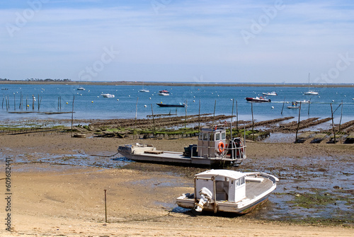 Ostréiculture. Le Canon, Bassin d'Arcachon, 33, Gironde, France