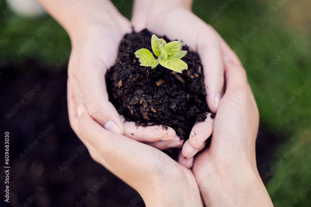 Hands, growth and plant in soil for earth, environment or closeup on gardening care or working in agriculture, farming or nature. Farmer, hand and worker growing green, leaf and life in spring Hands, growth and plant in soil for earth, environment or closeup on gardening care or working in agriculture, farming or nature. Farmer, hand and worker growing green, leaf and life in spring