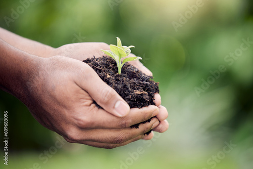 Hands, plant and growth in soil for earth, environment or closeup on gardening care or working in agriculture, farming or nature. Farmer, hand and worker growing green, leaf and life in spring