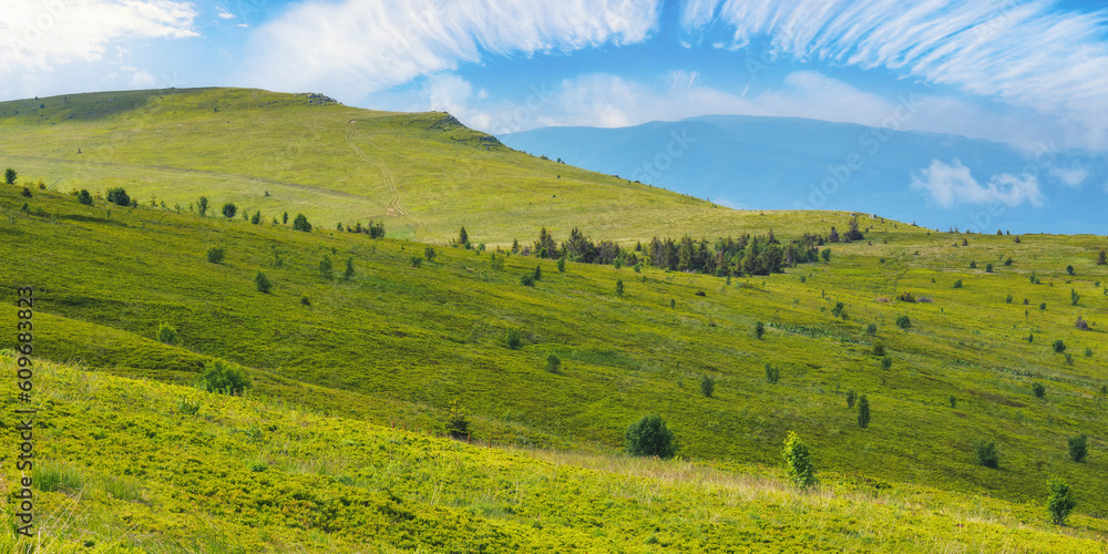 Fototapeta premium mountain landscape with grassy meadow. nature scenery in summer