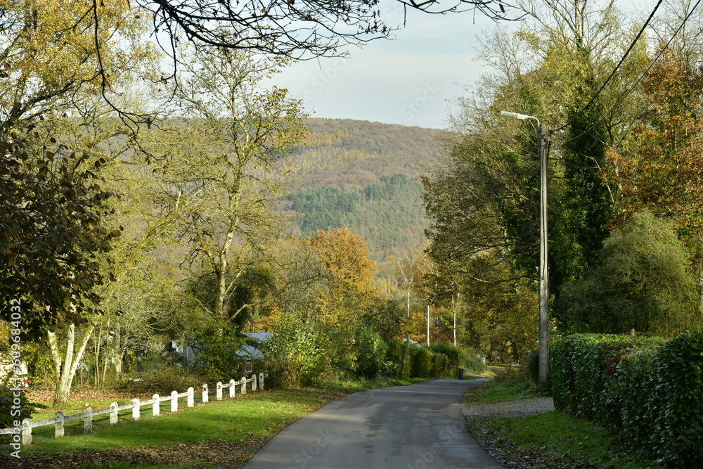 Les collines boisées en automne formant la vallée de la Meuse ayant un aspect de Petite Suisse à Profondeville 