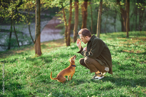 Handsome Man Plays with Cute Little Dog, Training, Teaching Tricks and Commands in the city park. Sunny Day with Green Grass Having Fun with Man's Best Friend. High quality photo