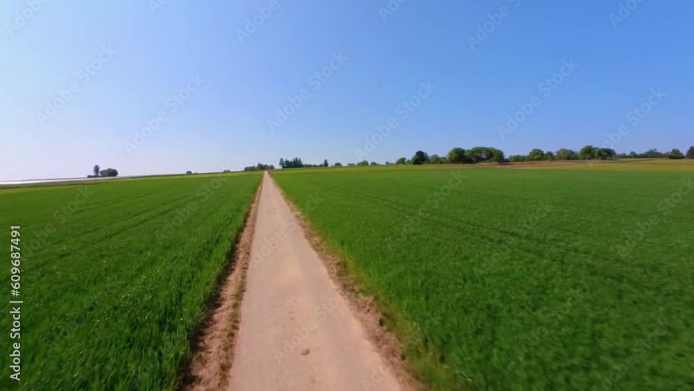Flug über einen Feldweg im Sommer, FPV Drohnenaufnahme Flug über einen Feldweg im Sommer, FPV Drohnenaufnahme