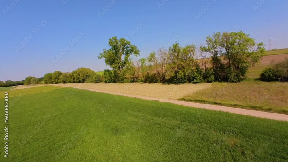 Flug über eine ein Feld neben einer Baumgruppe, FPV Drohnenaufnahme Flug über eine ein Feld neben einer Baumgruppe, FPV Drohnenaufnahme