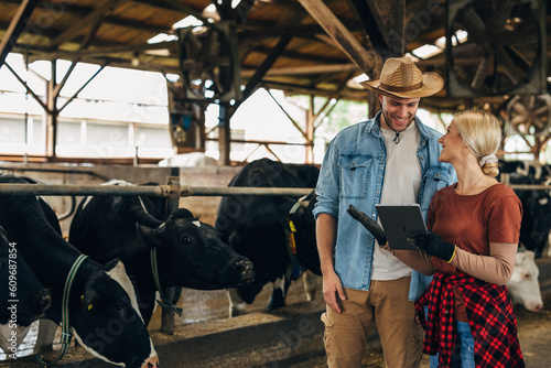 Farmers working in a stable with cows.