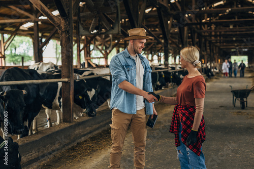 A man and a woman shaking hands in a stable with cows.