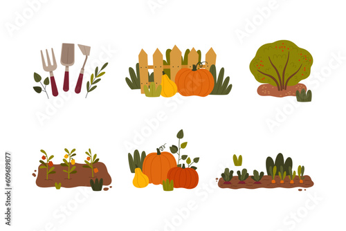 Ripe Farm and Garden Crop as Seasonal Harvesting and Yield Vector Illustration Set