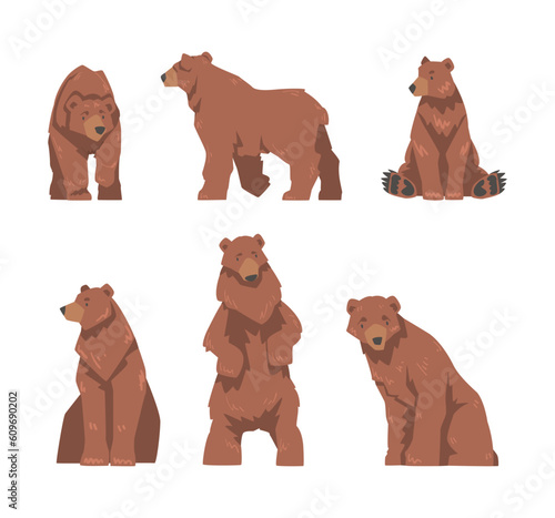 Brown Bear as Large Wild Terrestrial Carnivore Mammal with Thick Fur Vector Set