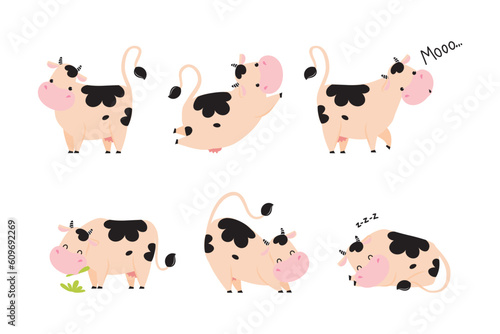 Cute Little Cow Calf with Hoof and Spotted Coat Vector Set
