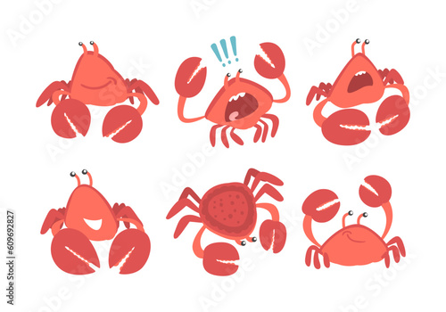 Red Crab Character as Aquatic Mammal with Pair of Pincers Vector Set