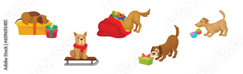 Funny Dog Breed with Winter Holiday Symbols Vector Set