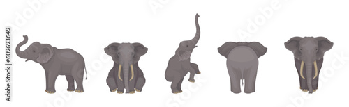 Elephant as Large African Animal with Trunk, Tusks, Ear Flaps and Massive Legs Vector Set